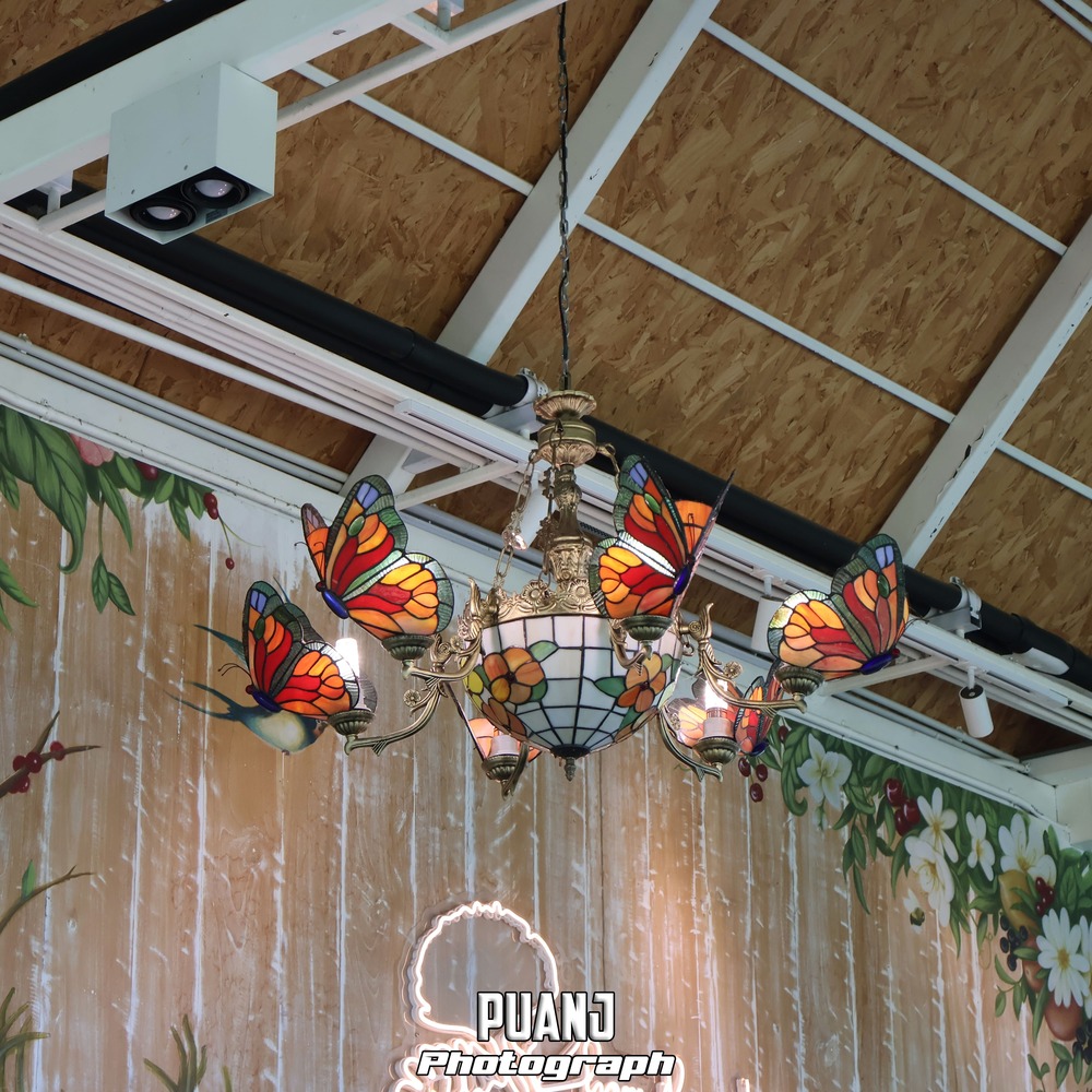 Chamcha Cafe ฉำฉา คาเฟ่