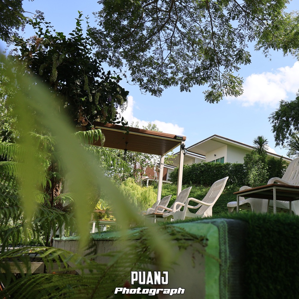 Chamcha Cafe ฉำฉา คาเฟ่