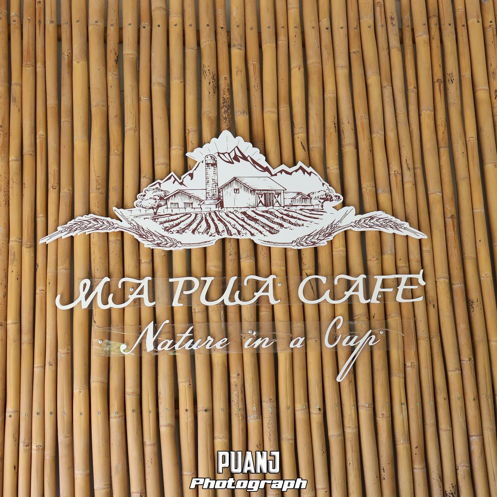 Mapua Cafe มาปัว คาเฟ่