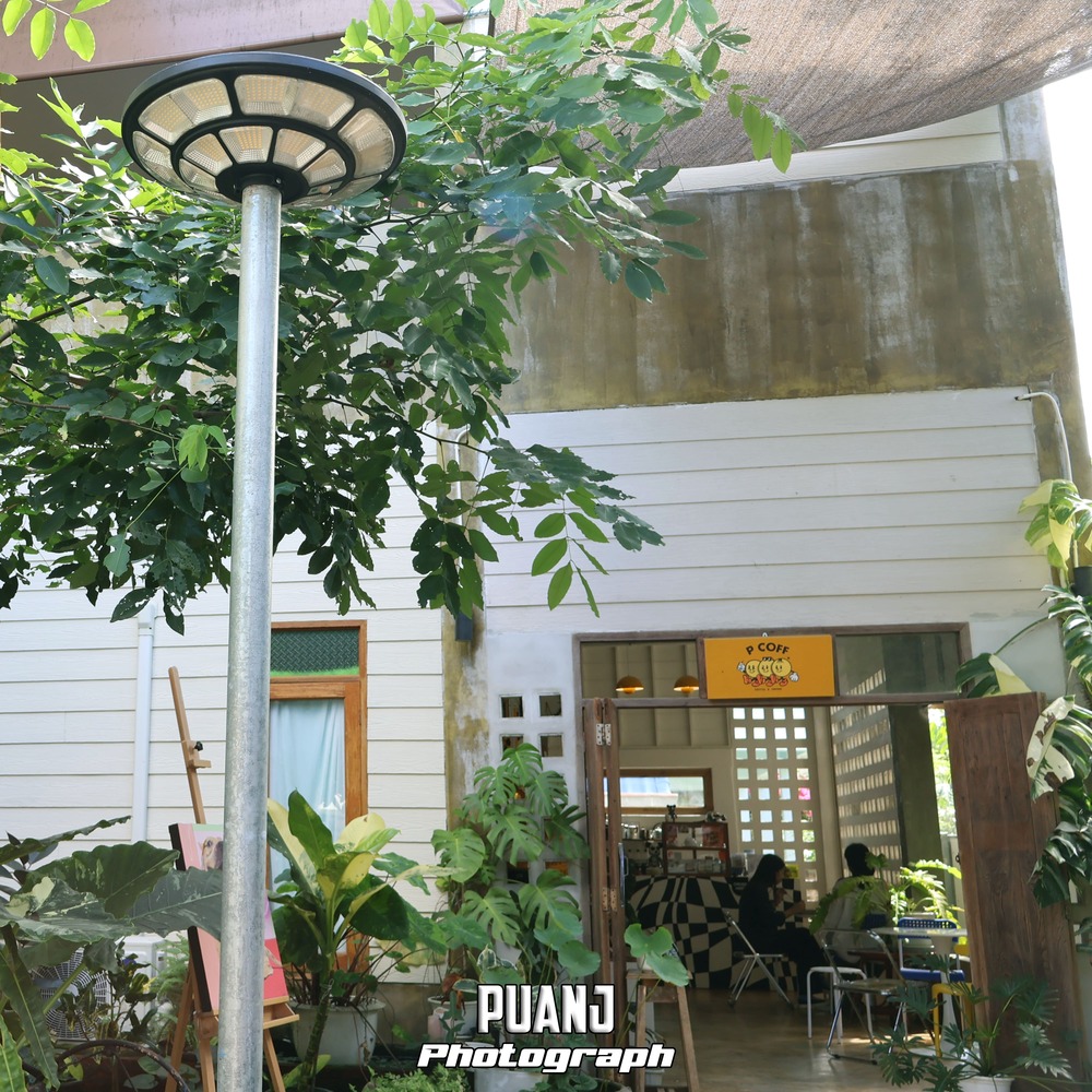Triple.P Project ทริปเปิ้ลพี โปรเจกต์