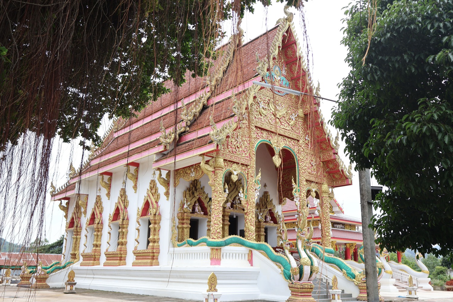 วัดวังม่วง