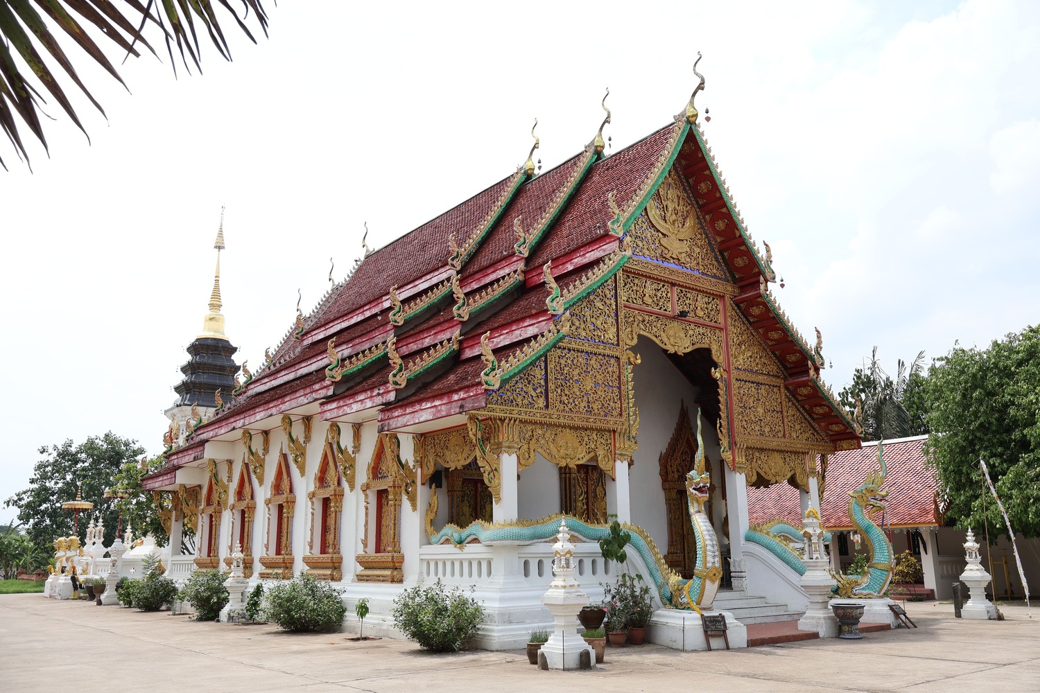วัดป่าหัด
