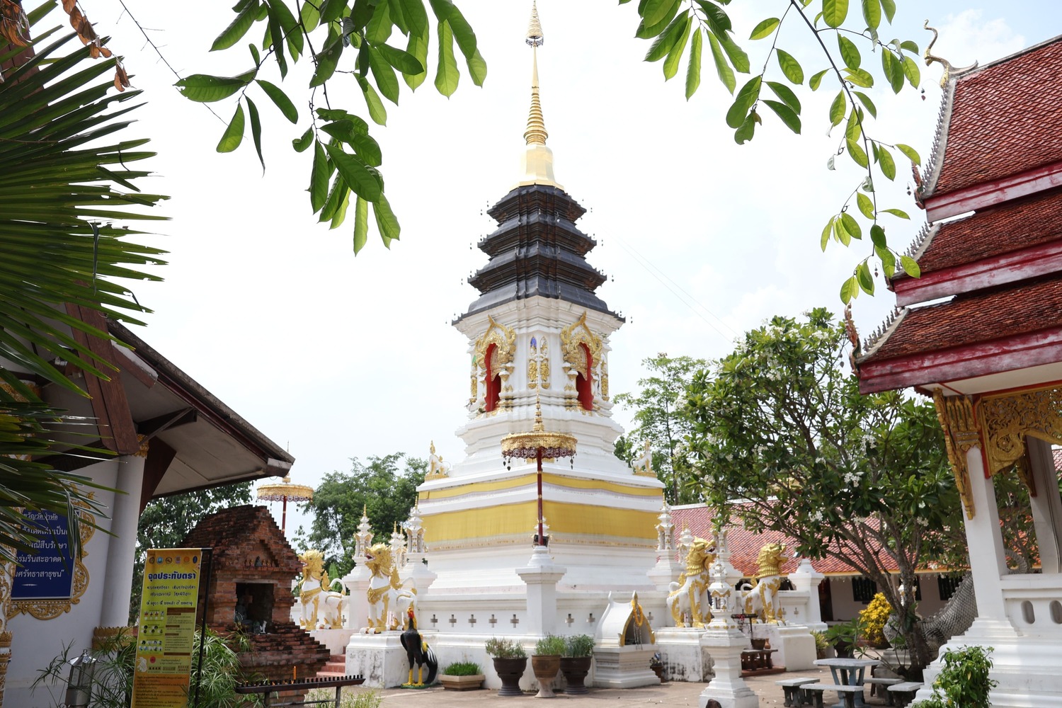 วัดป่าหัด อำเภอปัว