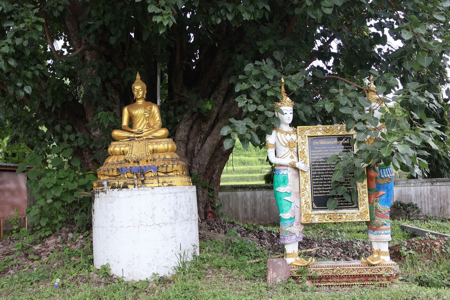 วัดป่าเหมือด อำเภอปัว