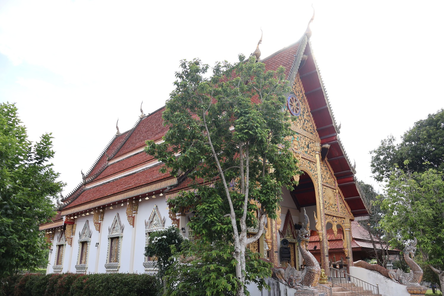 วัดป่าเหมือด อำเภอปัว